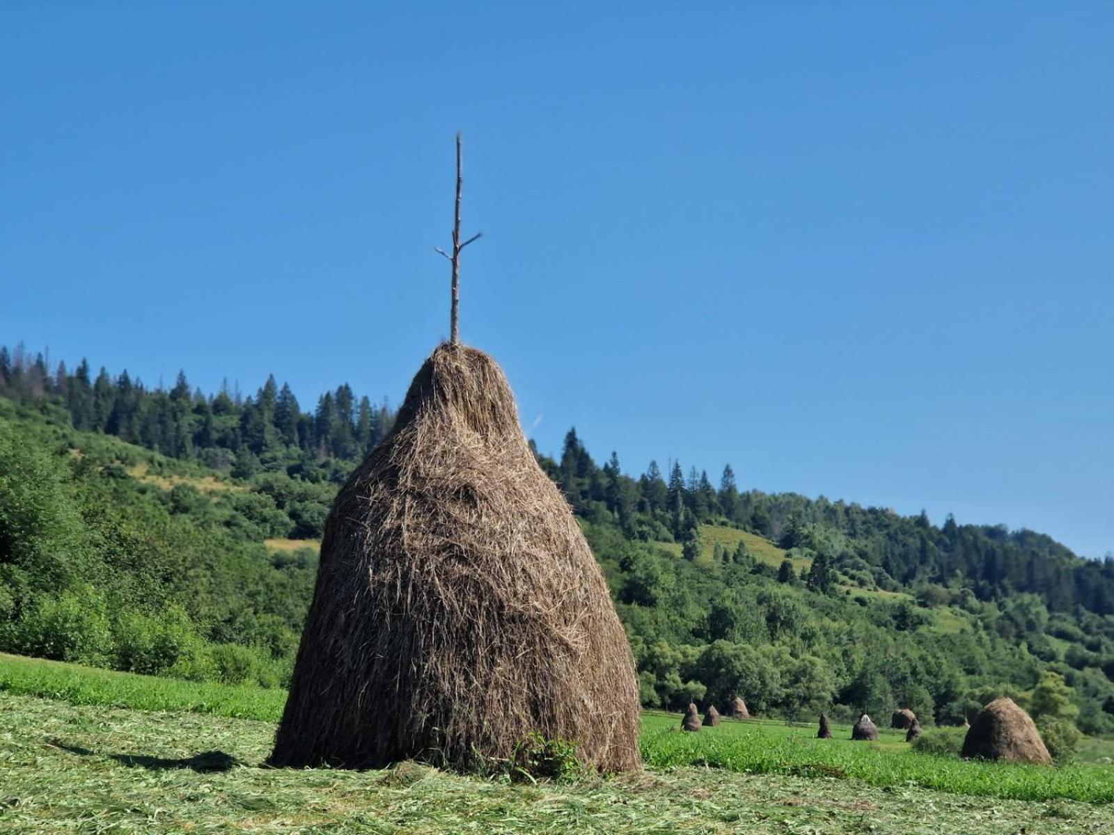 Вілла Річка Buitenkant foto